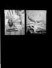 Pigs (2 Negatives) 1950s, undated [Sleeve 27, Folder k, Box 21]